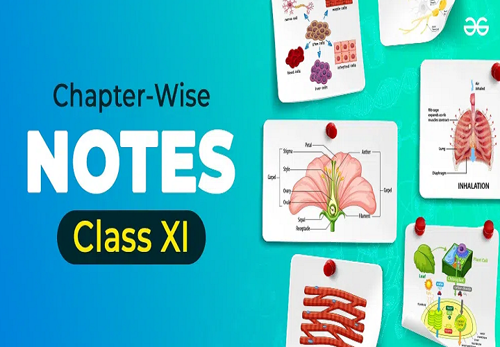 BIOLOGY 11 - Expert Series